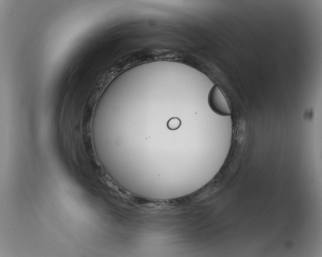 X0000113280763200909140941