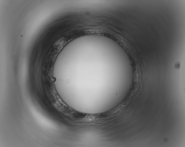 X0000113280764200909140941