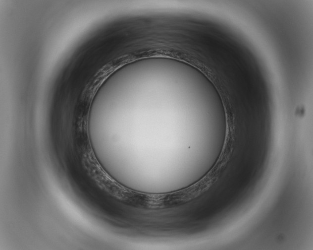 X0000113280766200909140941