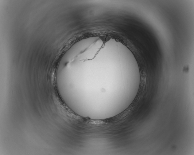 X0000113280767200909140941