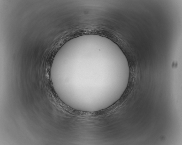 X0000113280770200909140940