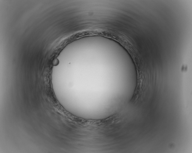 X0000113280773200909140940
