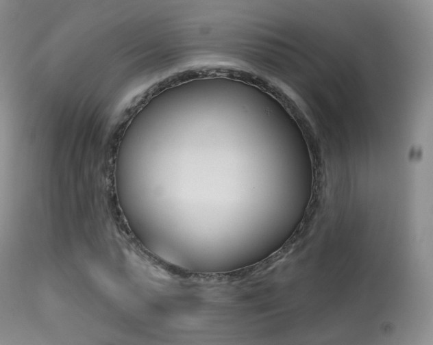 X0000113280775200909140940