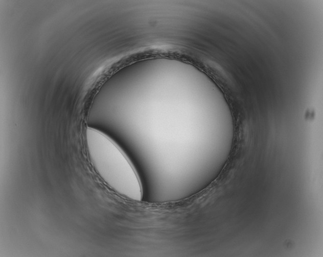 X0000113280776200909140940