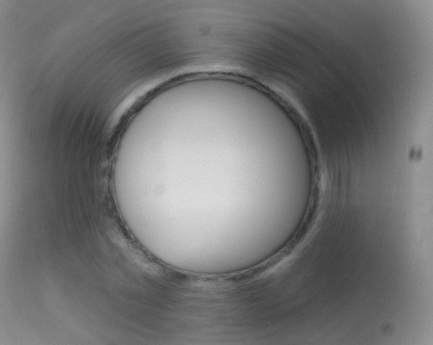 X0000113280781200909140940