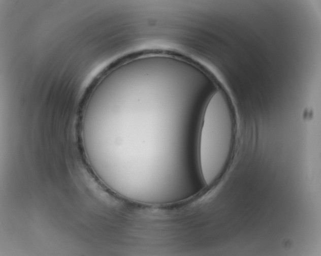 X0000113280783200909140940