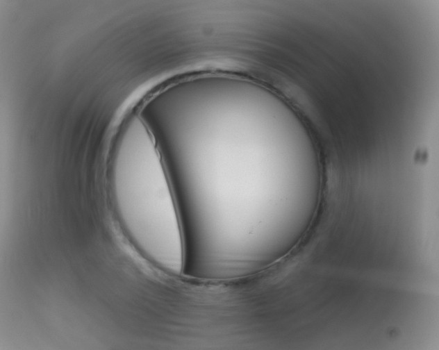 X0000113280784200909140940