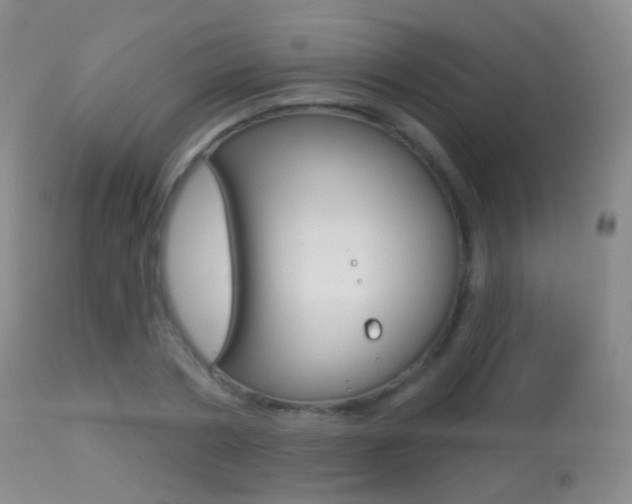 X0000113280786200909140940