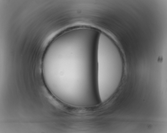 X0000113280791200909140940