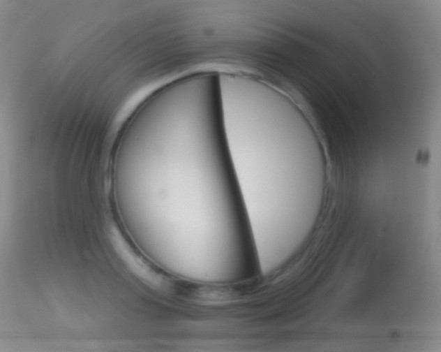 X0000113280795200909140940