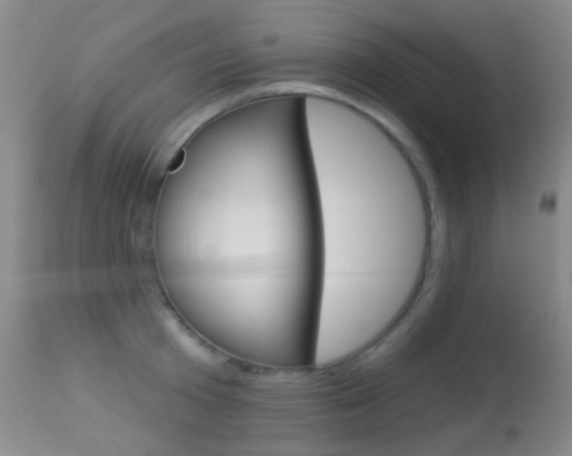 X0000113280801200909140940