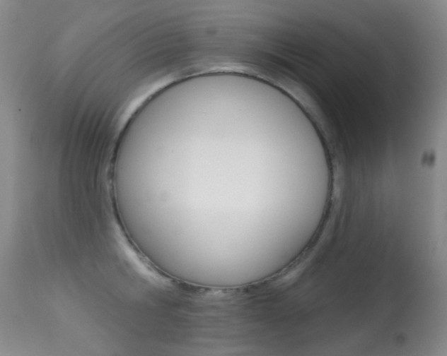 X0000113280806200909140939