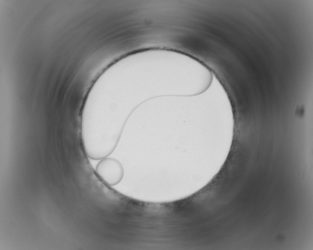 X0000113280807200909140939