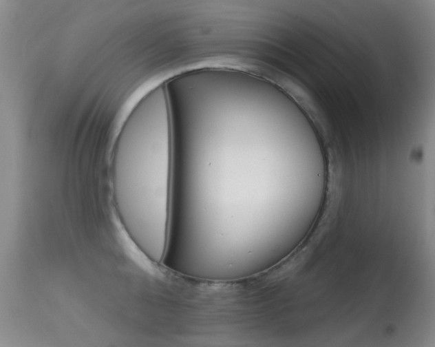 X0000113280808200909140939