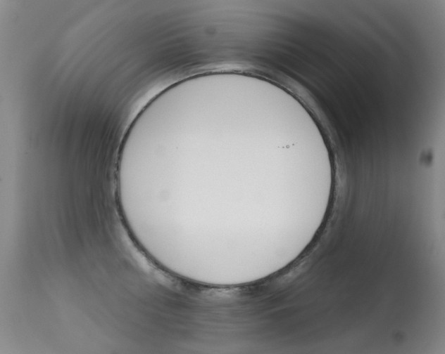 X0000113280810200909140939