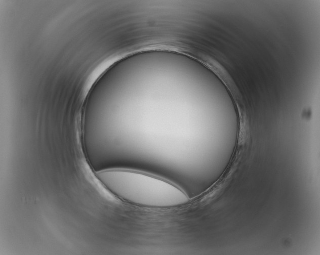 X0000113280812200909140939