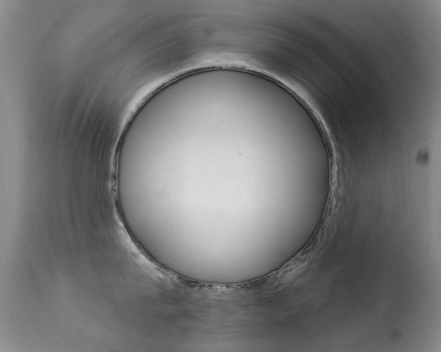 X0000113280815200909140939