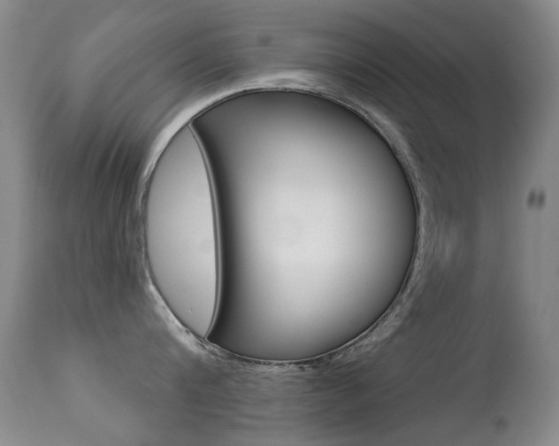 X0000113280816200909140939