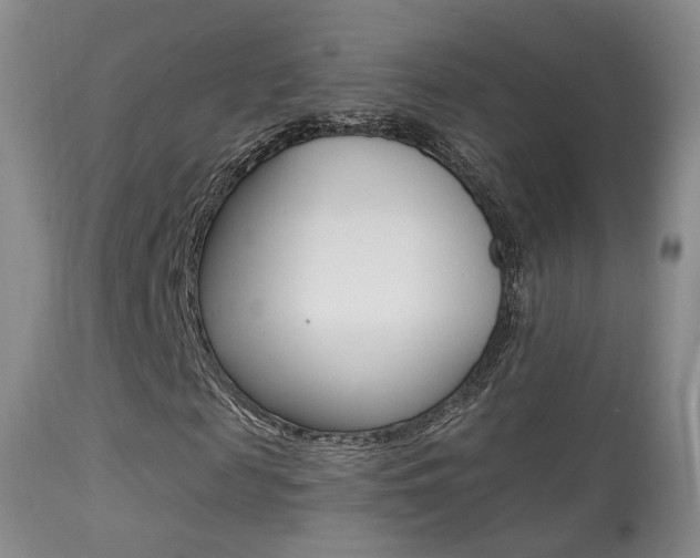 X0000113280817200909140938