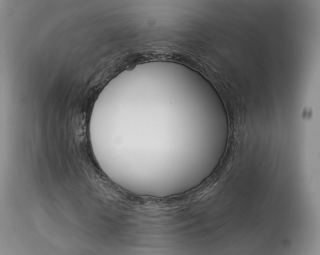 X0000113280818200909140938
