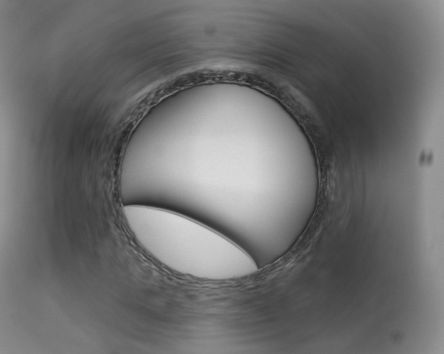 X0000113280821200909140939