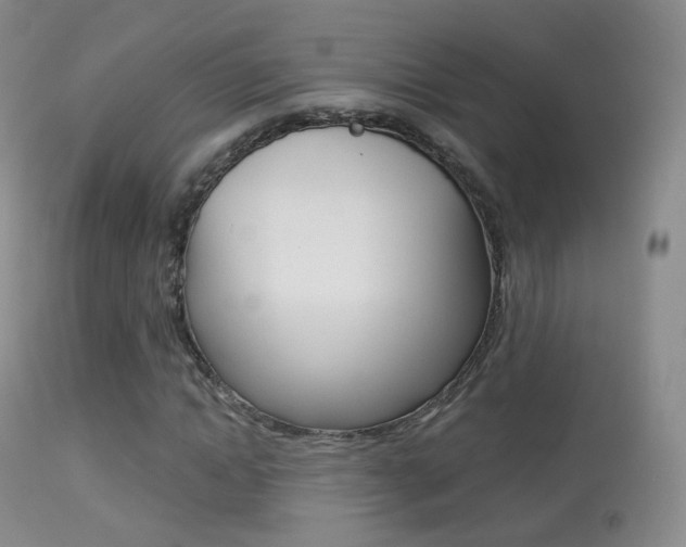 X0000113280822200909140939