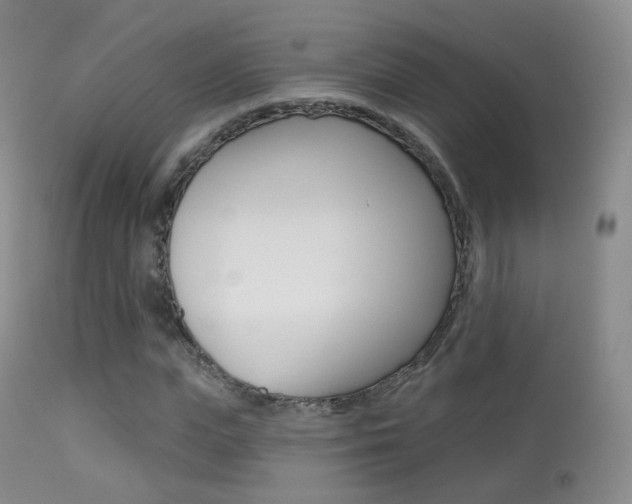 X0000113280823200909140939