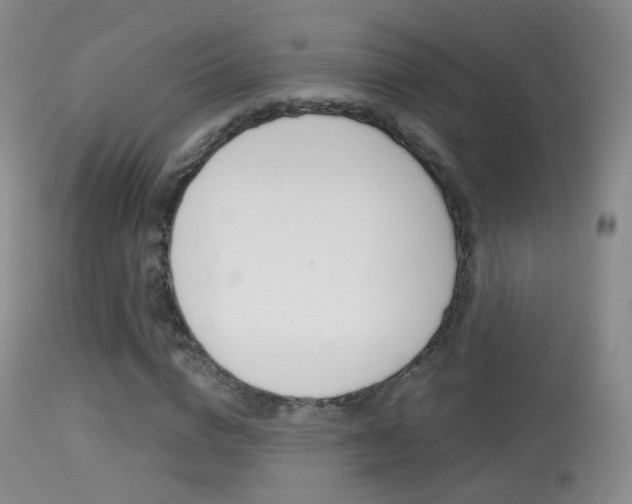 X0000113280824200909140939