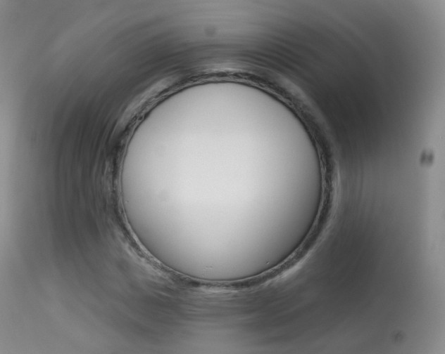 X0000113280825200909140939