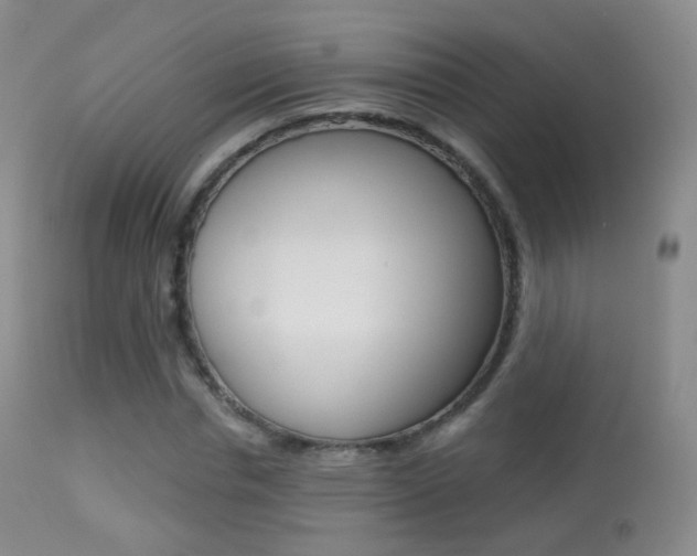 X0000113280826200909140939