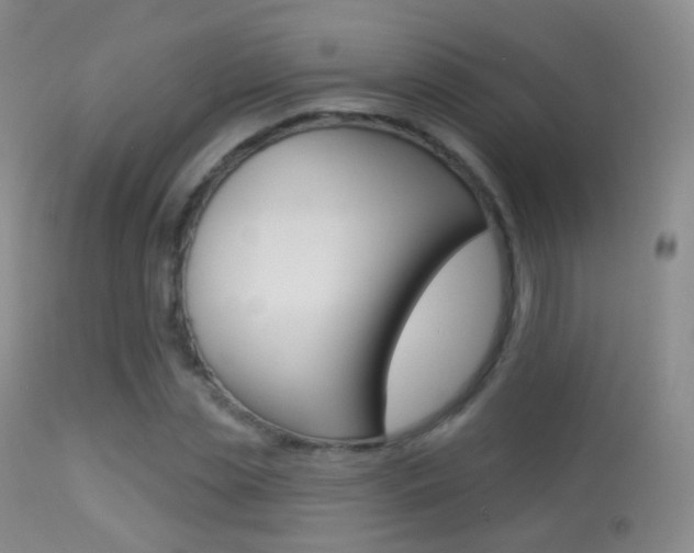 X0000113280829200909140939