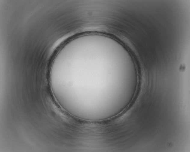 X0000113280830200909140939