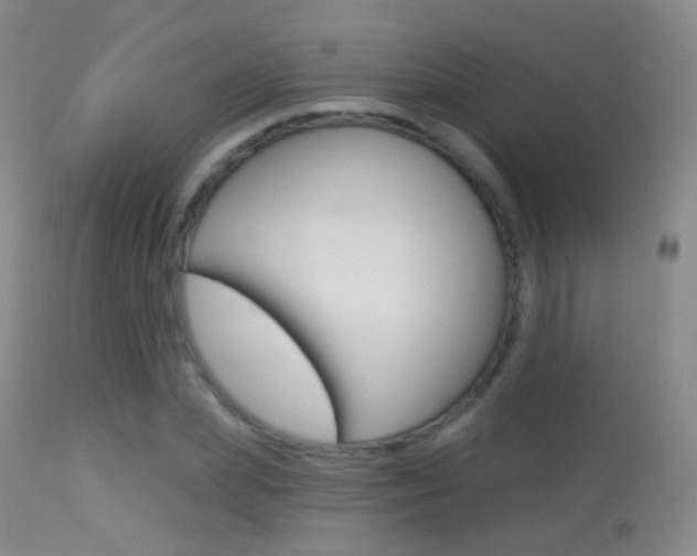 X0000113280831200909140939