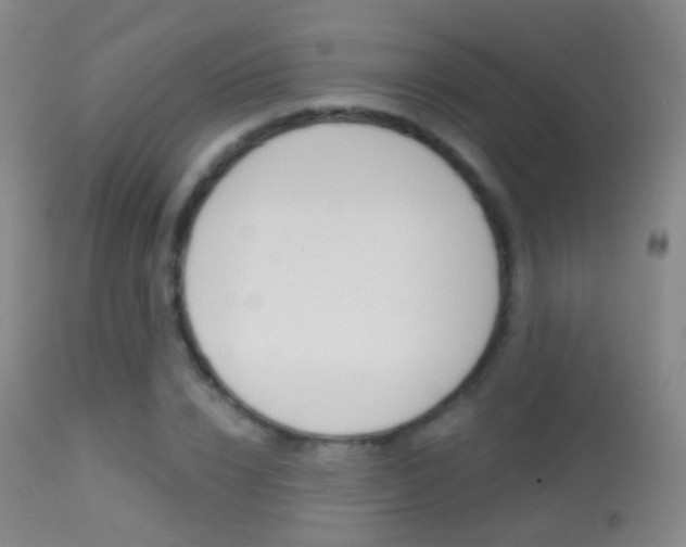 X0000113280832200909140939