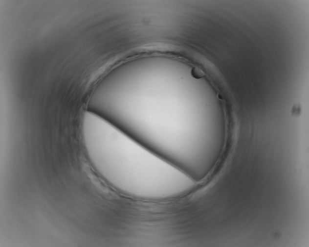 X0000113280833200909140939