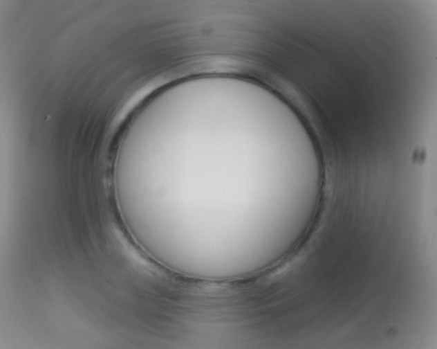 X0000113280835200909140939