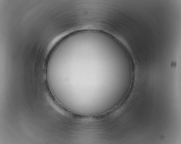 X0000113280838200909140939