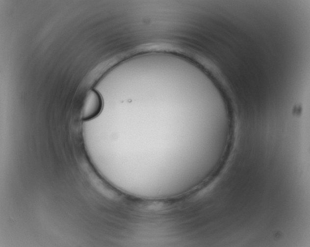 X0000113280841200909140939