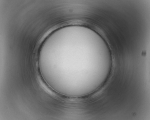 X0000113280843200909140939