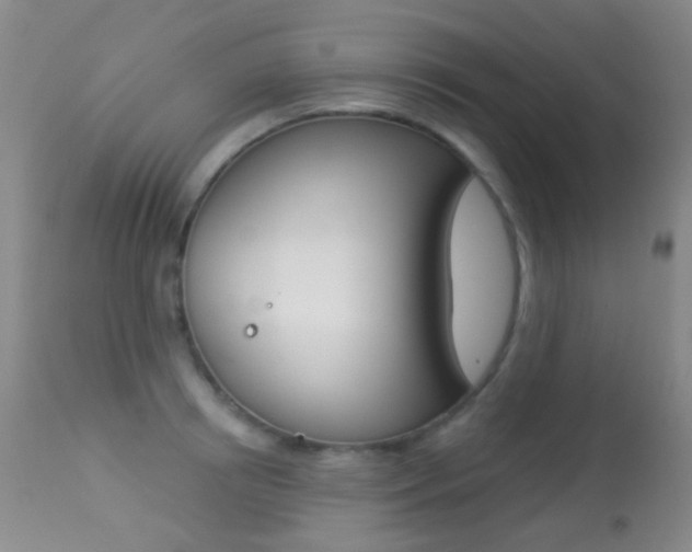 X0000113280850200909140939