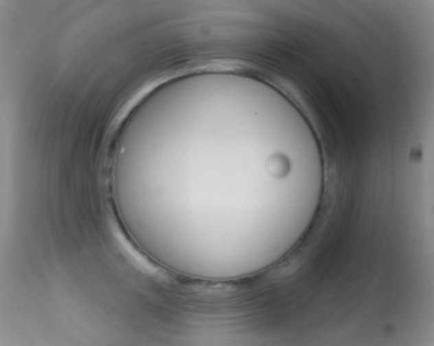 X0000113280851200909140939