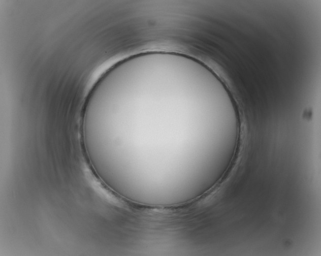 X0000113280854200909140939