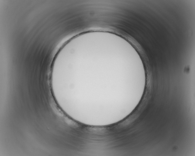 X0000113280856200909140939
