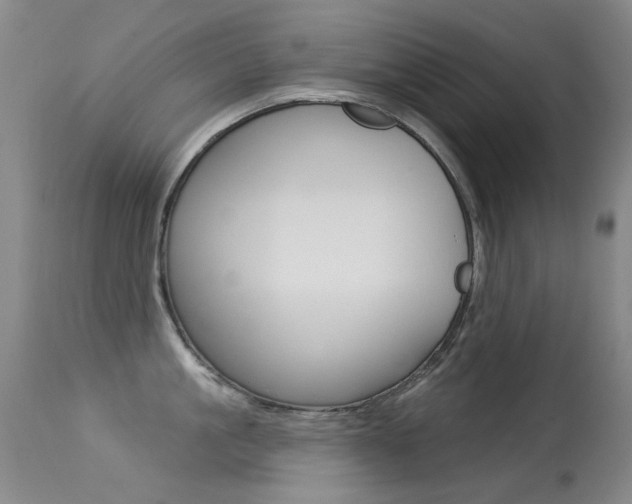 X0000113280861200909140939
