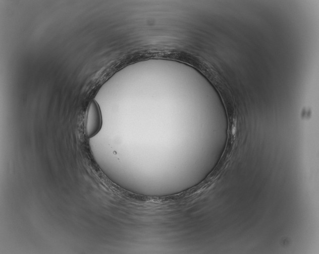 X0000113280867200909140938