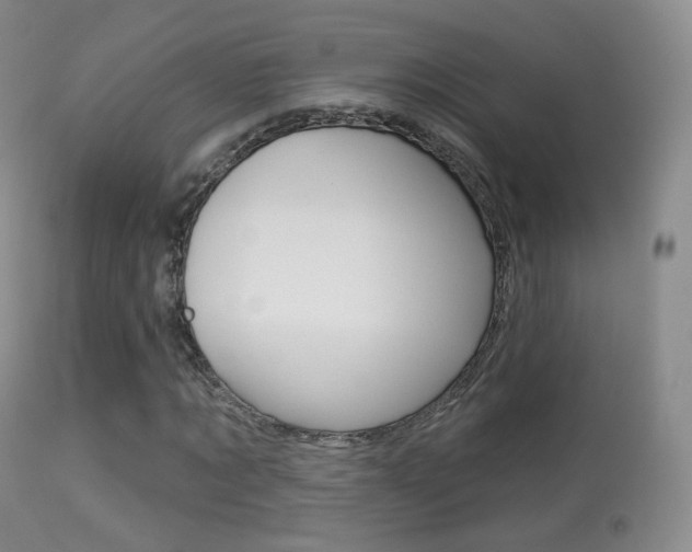 X0000113280869200909140938
