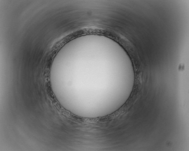 X0000113280870200909140938