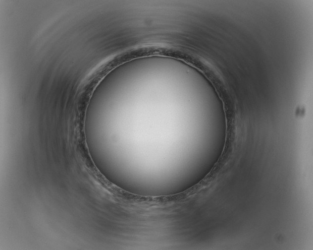X0000113280872200909140938