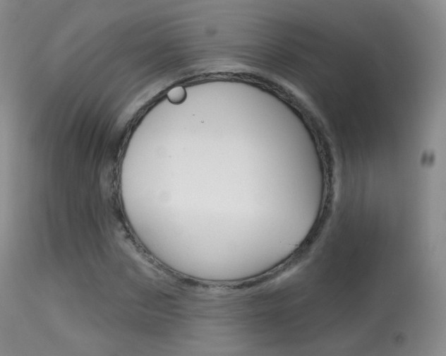X0000113280873200909140938