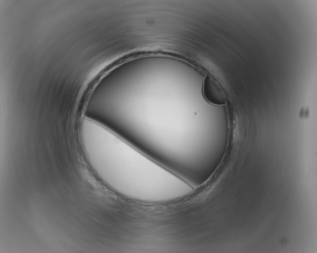 X0000113280876200909140938